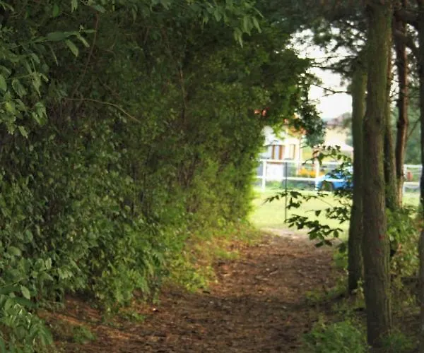 Stajnia Lidia * Serock